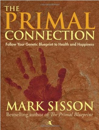 the primal connection