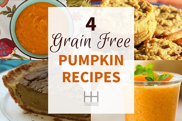 The Best Grain-Free Pumpkin Recipes for Fall - Hollywood Homestead
