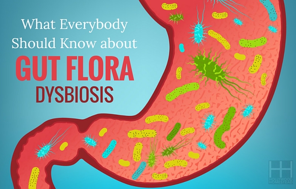 What Everybody Should Know about Gut Flora Dysbiosis - Hollywood Homestead