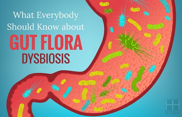 What Everybody Should Know about Gut Flora Dysbiosis