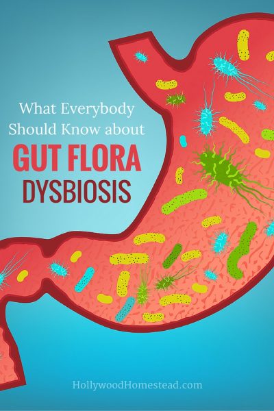 What Everybody Should Know about Gut Flora Dysbiosis - Hollywood Homestead