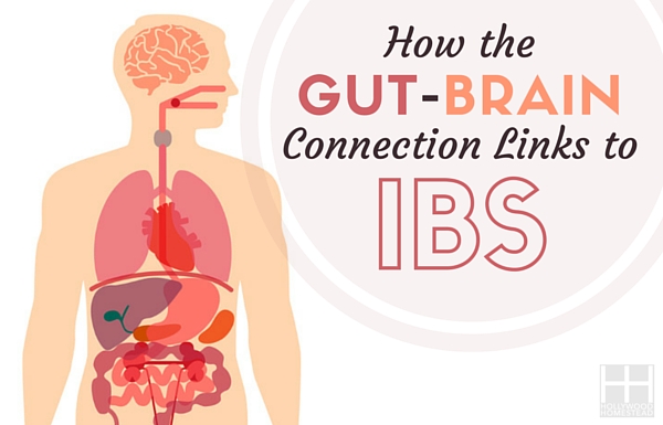 How the Gut-Brain Connection Links to IBS - Hollywood Homestead