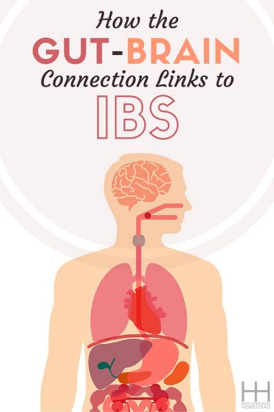 How the Gut-Brain Connection Links to IBS - Hollywood Homestead