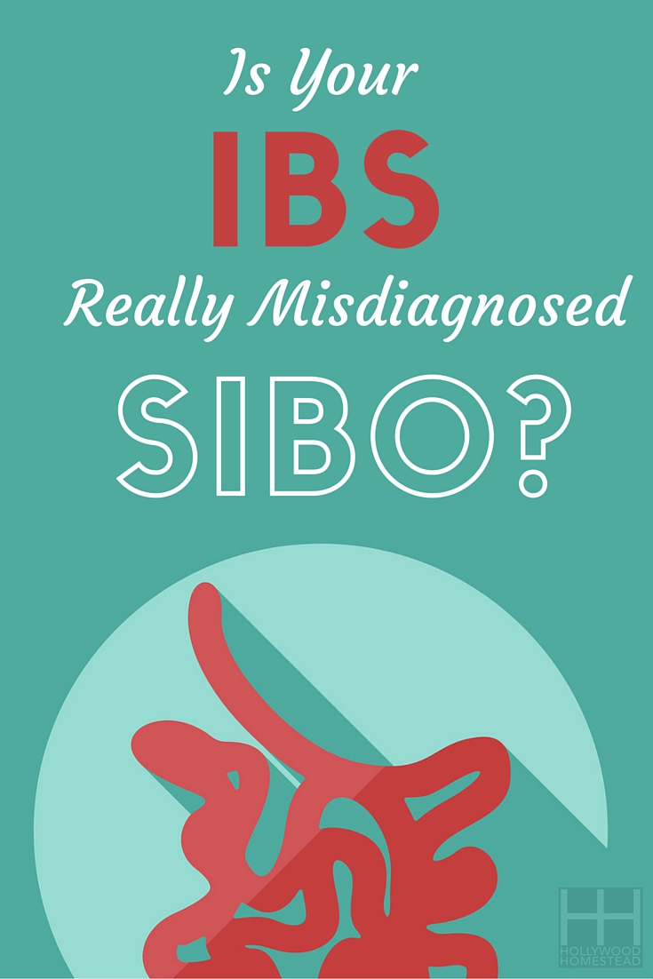 Is Your Ibs Really Misdiagnosed Sibo? - Hollywood Homestead