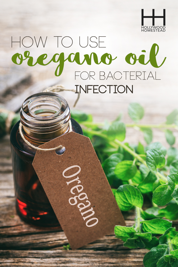 How to Use Oil of Oregano for Bacterial Infections