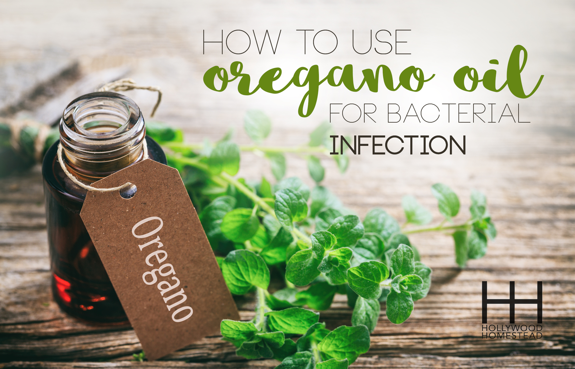How to Use Oil of Oregano for Bacterial Infections