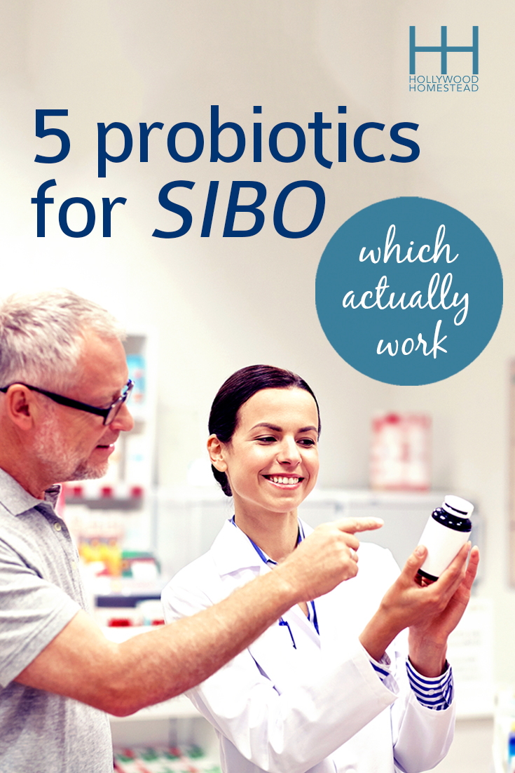 5 Probiotics For SIBO Which Actually Work - Hollywood Homestead