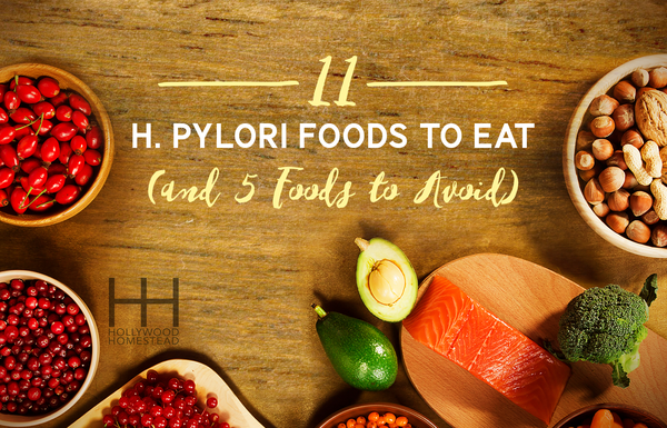 cranberries, avocado, salmon, broccoli, and other h pylori foods to eat and avoid