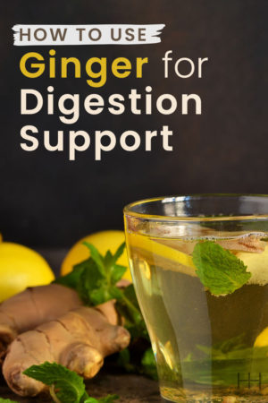 How to Use Ginger for Digestion Support - Hollywood Homestead