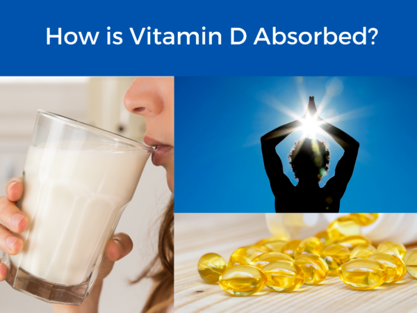 a person drinking milk next to an image of a person in the sun and an image of yellow capsules, all under the title "How is Vitamin D Absorbed"