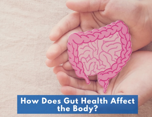 photographed hands holding a cartoon gut above the title "How Does Gut Health Affect the Body?" 