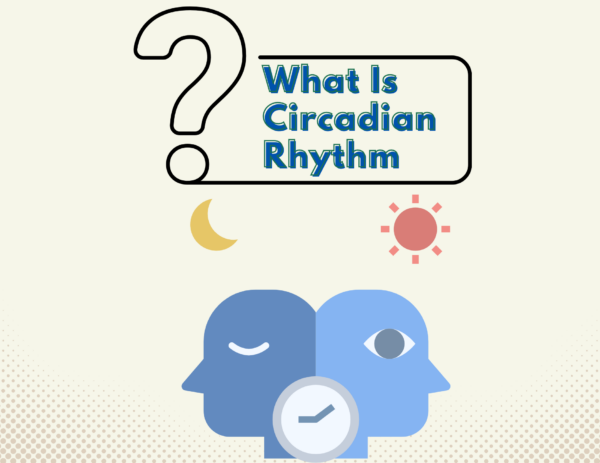 cartoon images of faces surrounded by a clock, a moon, and a sun under the question "What Is Circadian Rhythm" 