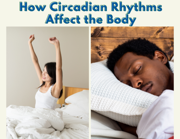 side by side images of a woman waking up and a man falling asleep under the title "How Circadian Rhythms Affect the Body" 