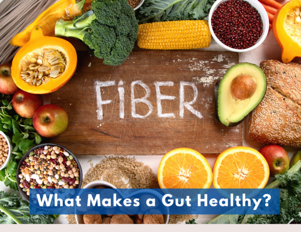 foods surrounding the term "fiber" over the title "What Makes a Gut Healthy?" 