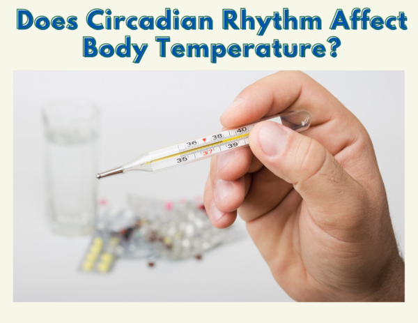 person holding a thermometer under the title "Does Circadian Rhythm Affect Body Temperature?" 