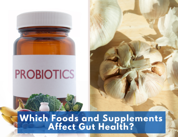 images of probiotics and garlic over the title "Which Foods and Supplements Affect Gut Health?" 