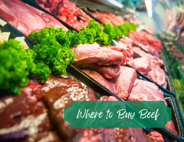 Where to Buy Beef
