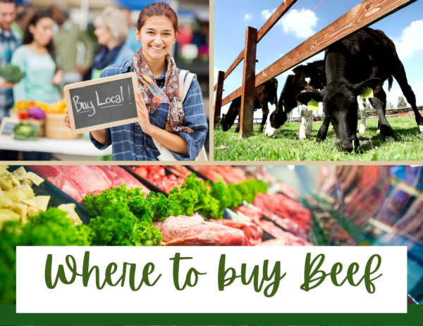 images of farms and cows above the text "where to buy beef" 