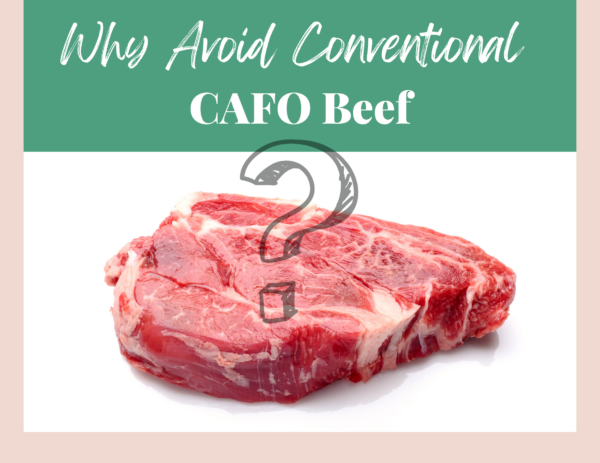 conventional CAFO beef