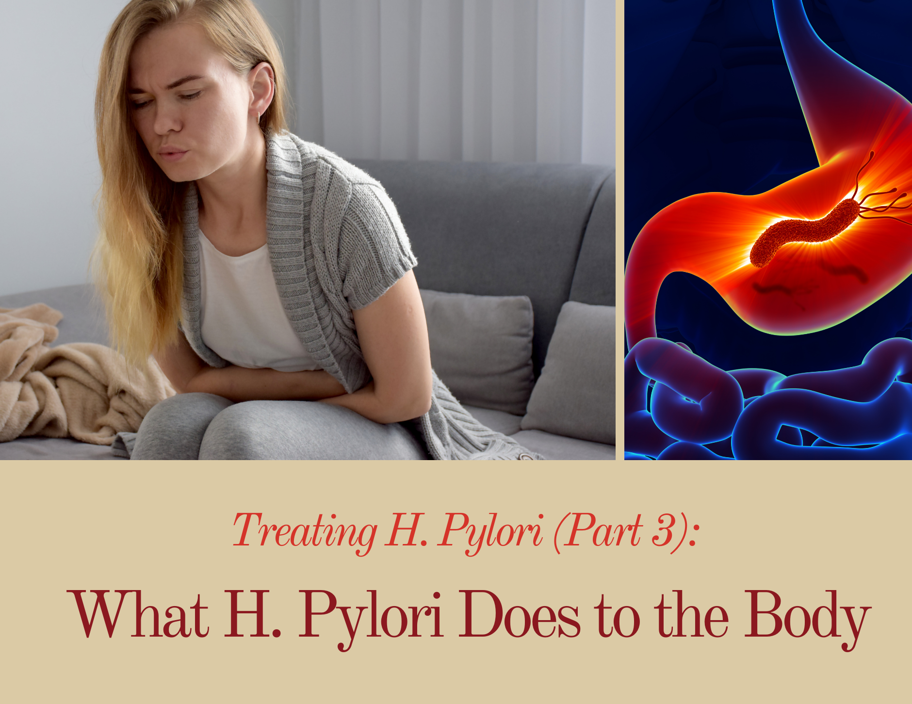 Treating H. Pylori (Part 3): What H. Pylori Does to the Body